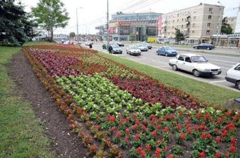 Oradea înflorită (FOTO)